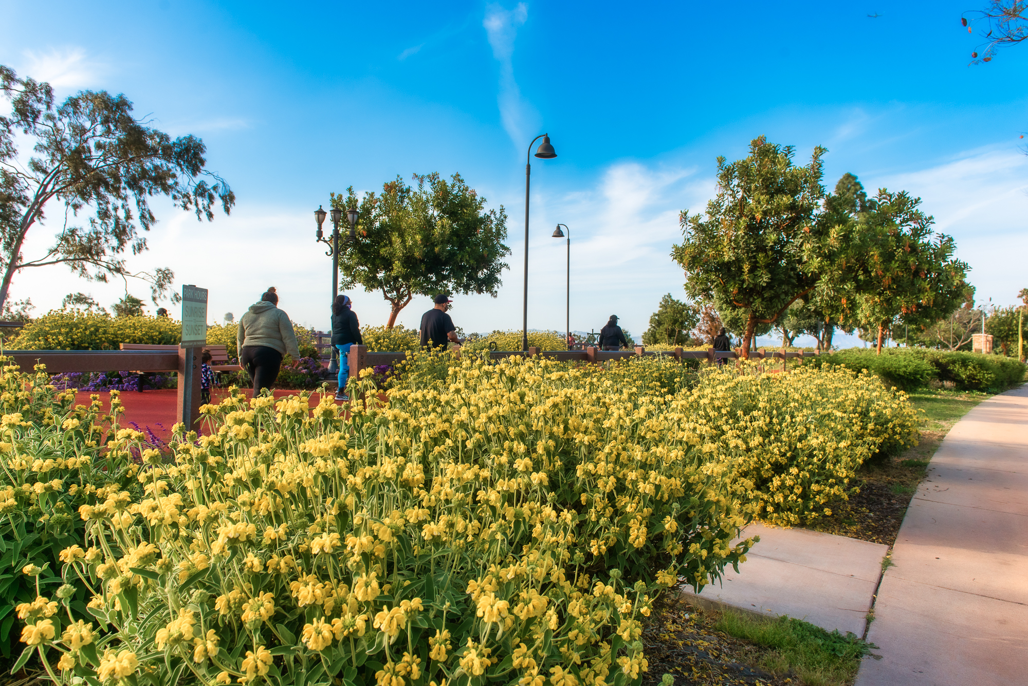 View Park/Windsor Hills